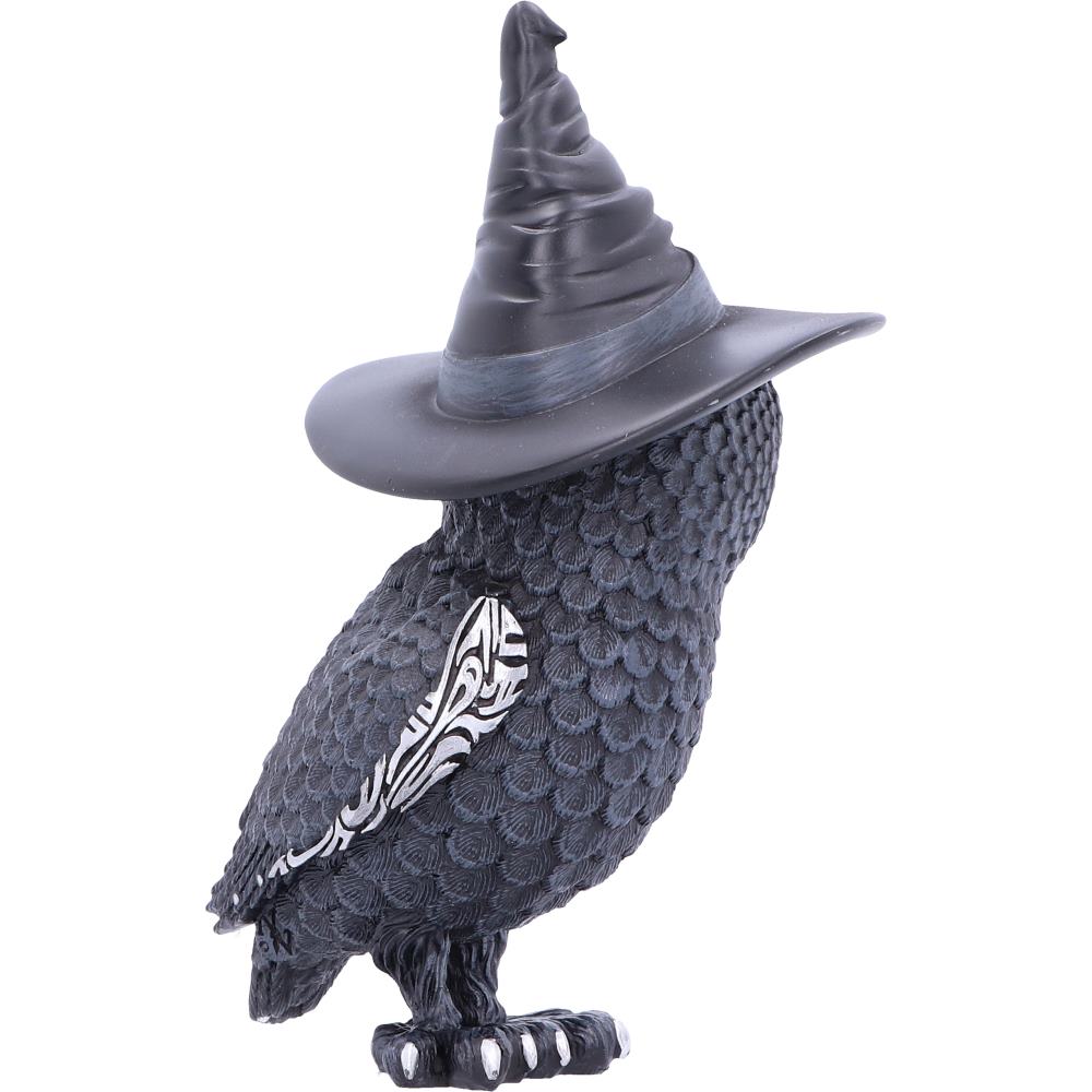 Owlocen