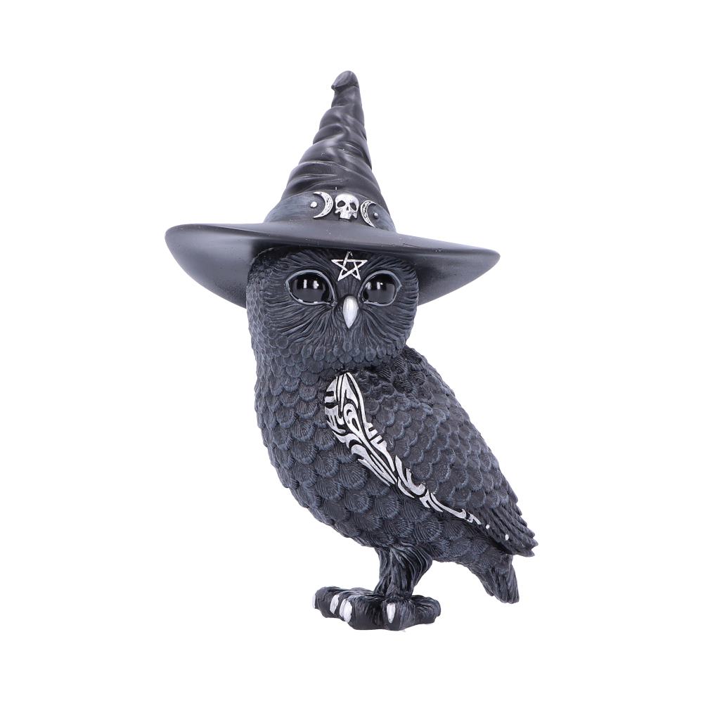 Owlocen