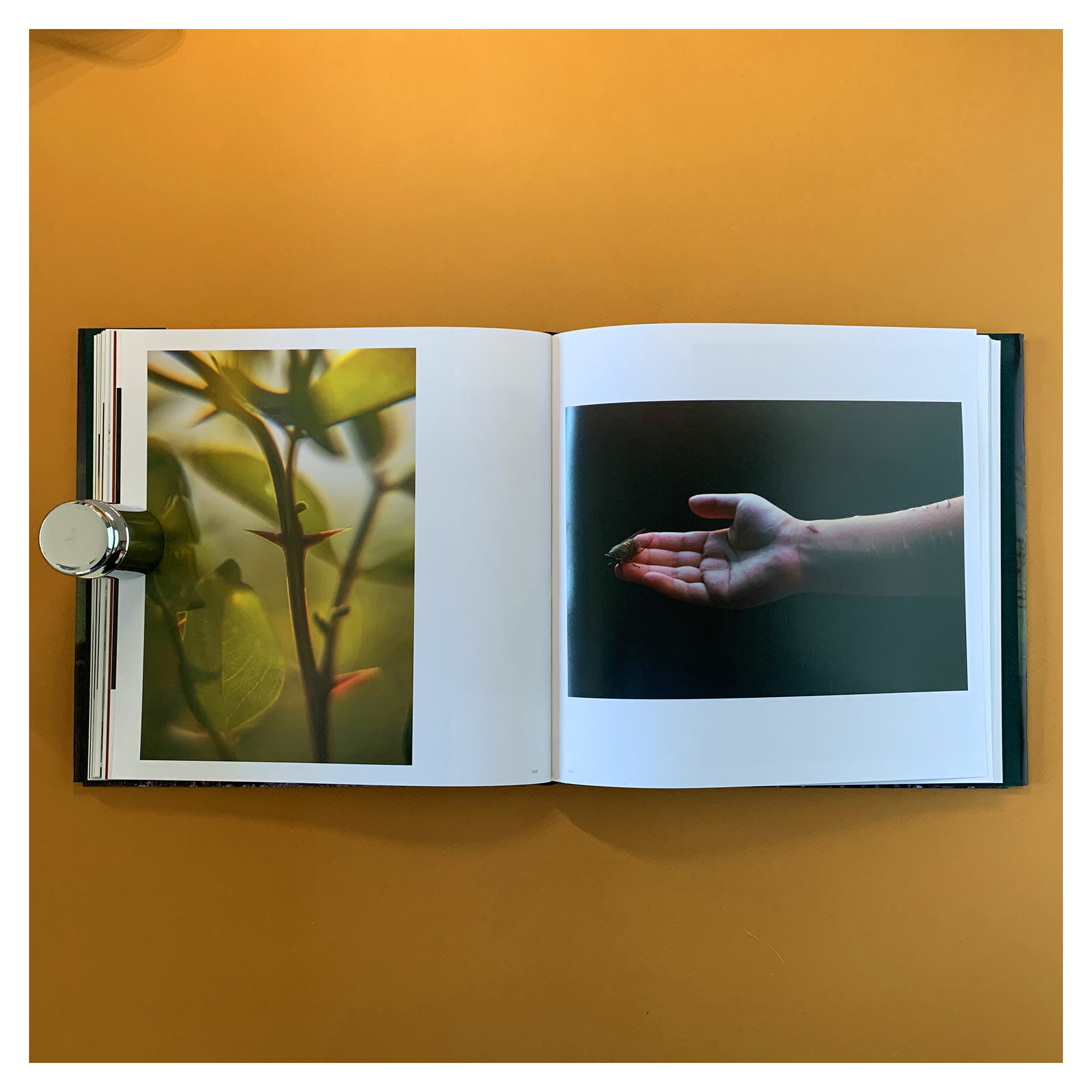 extra product image