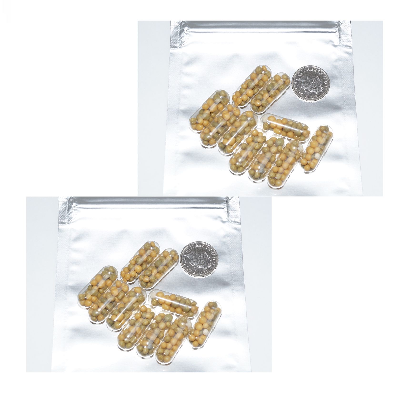 x20 Aquatic 12 Month Pond Plant & Aquarium Food Fertiliser Capsules