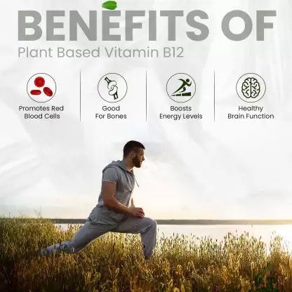 Himalayan Organics Plant Based Vitamin B12