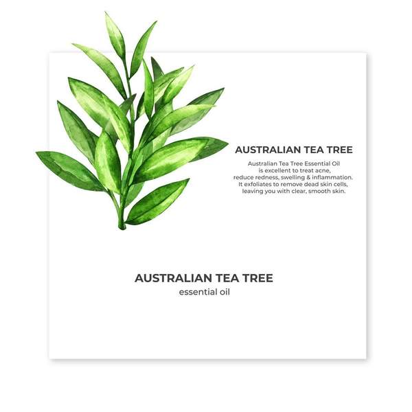Organic Tea Tree oil 15ml