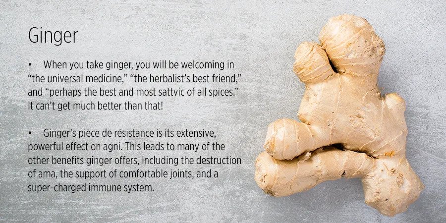 Organic Ginger Powder 100gm