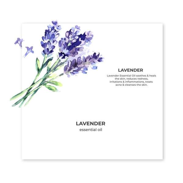 Organic Lavender oil 15ml