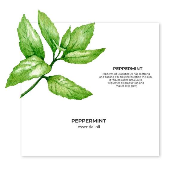 Organic Peppermint oil 15ml