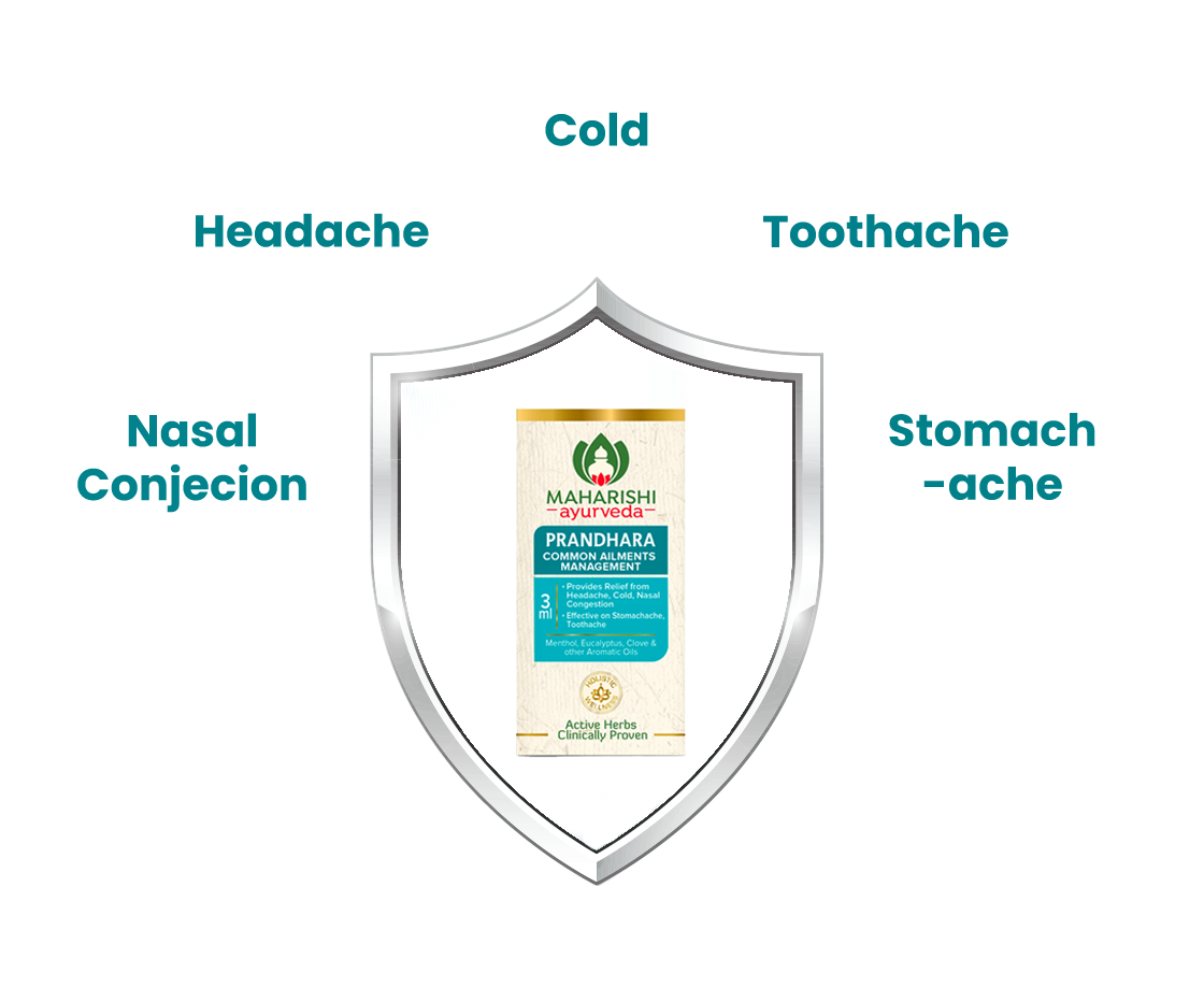 Prandhara Pain Reliever oil 3ml