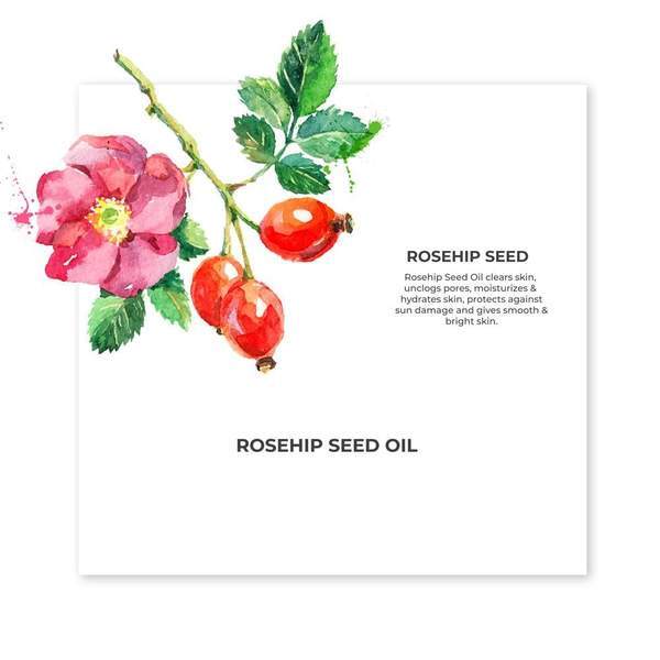 Organic Rosehip oil 10ml glass bottle
