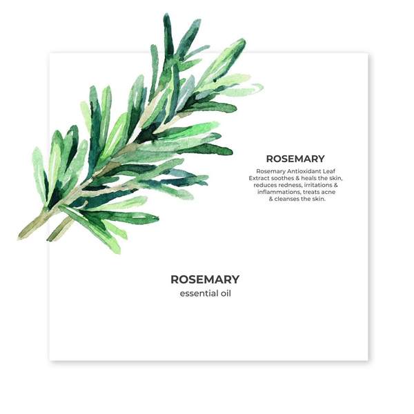 Organic Rosemary oil 15ml