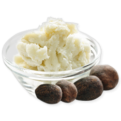 Organic Unrefined Shea Butter 25gm