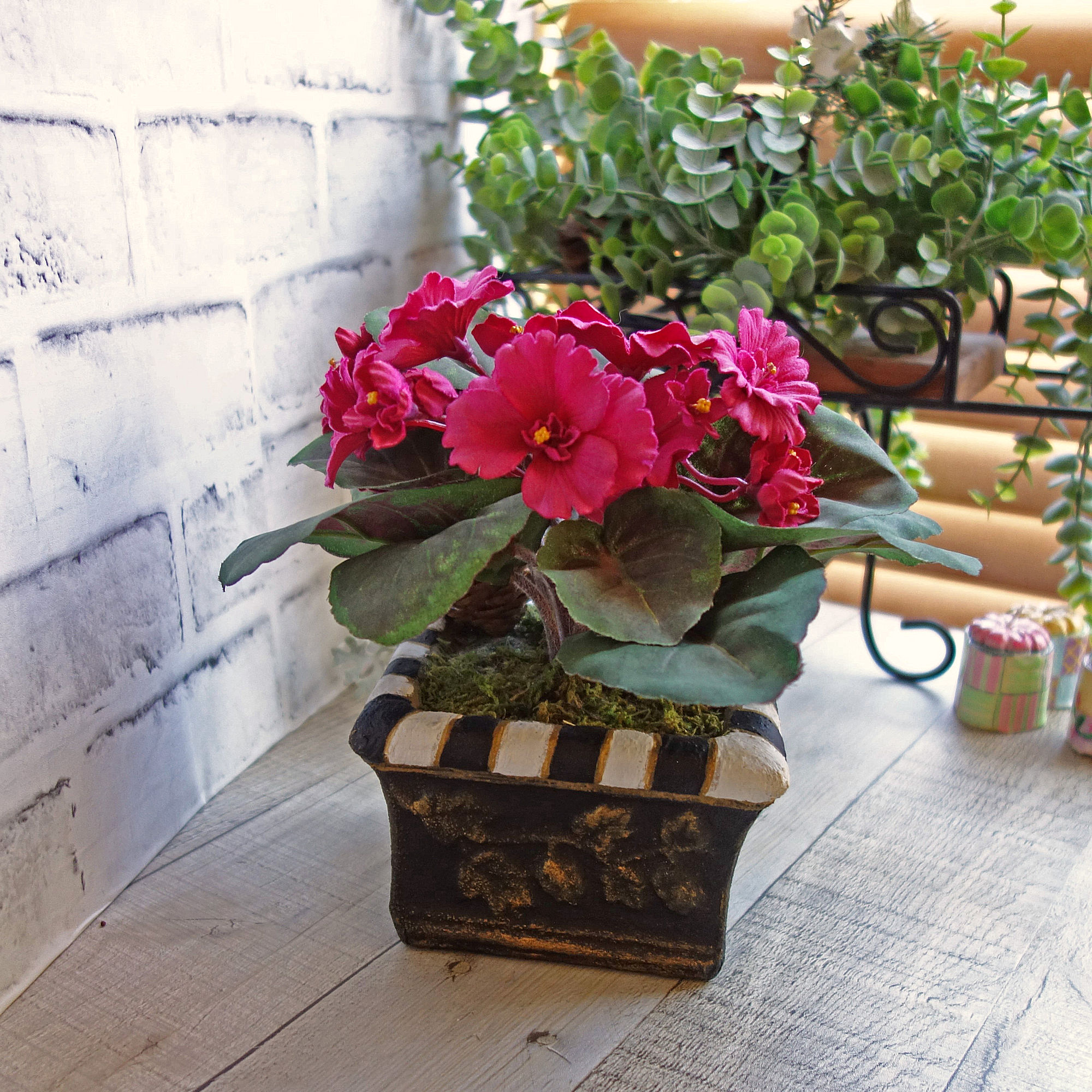 Checked Flower Pot African Violet Courtly Planter