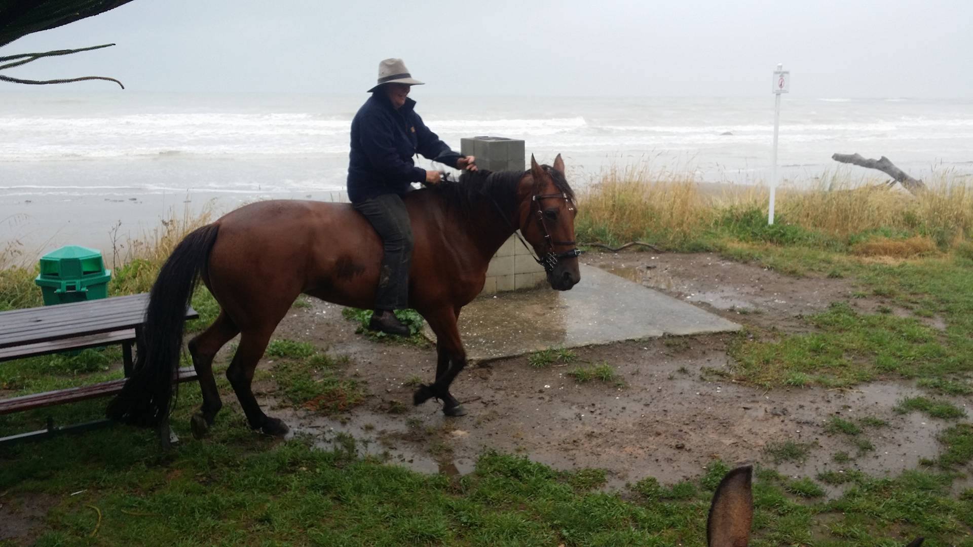Hoof Armor application in the Cold and Wet