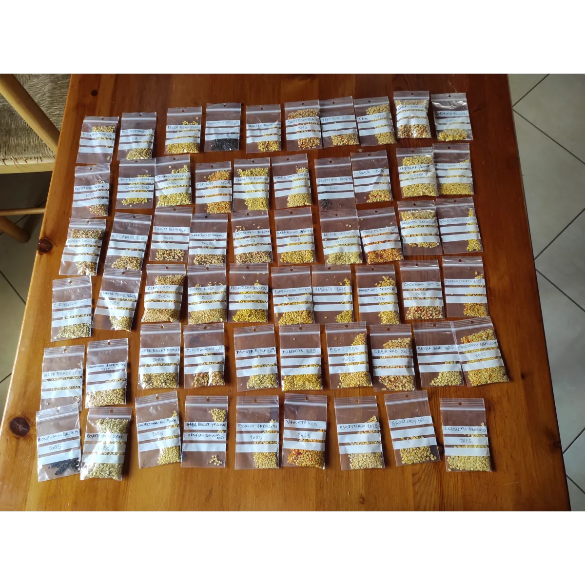 10+ Semi/Seeds Aji Charapita Peach