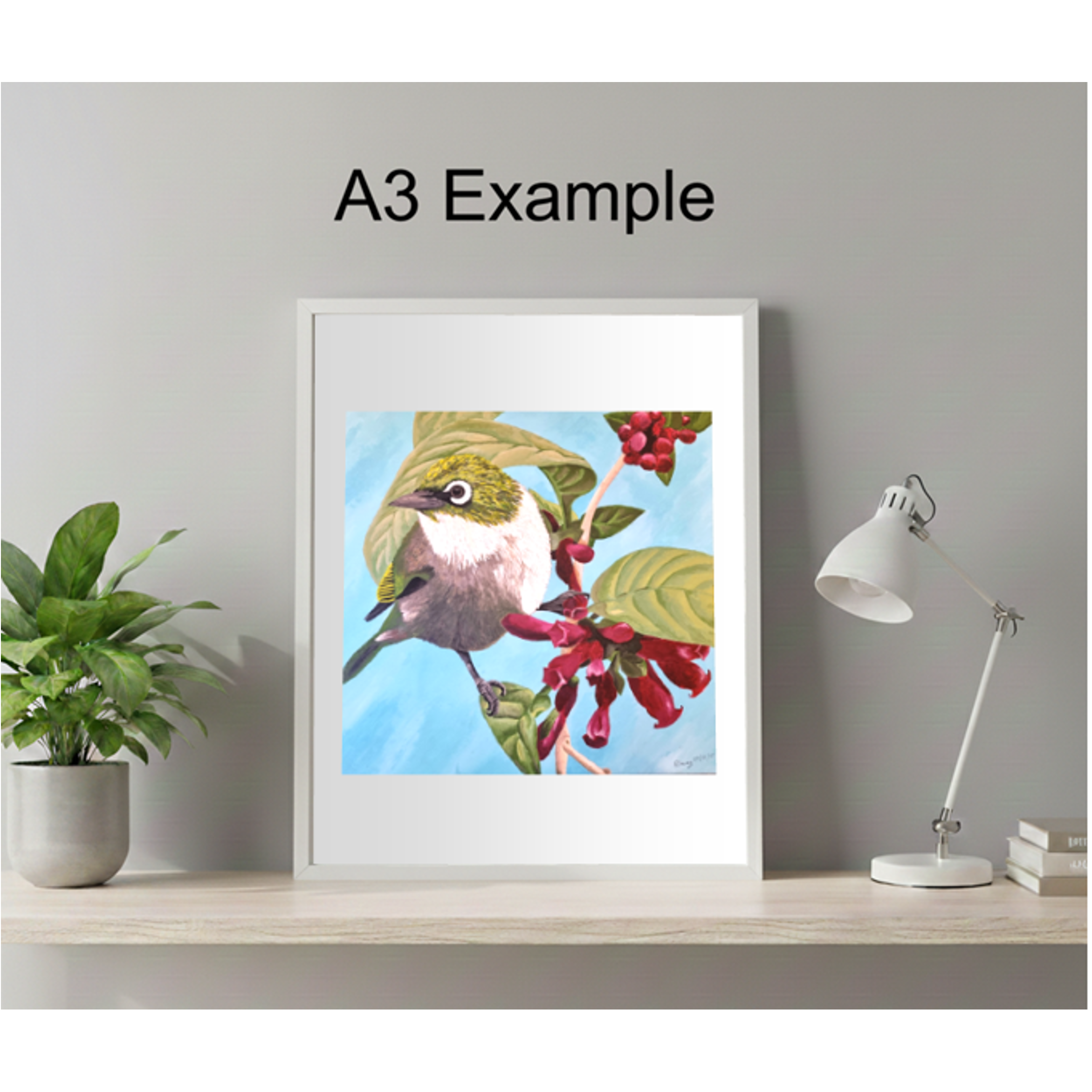 Wax Eye / Silvereye – Fine Art Print