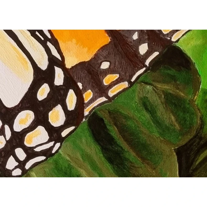 Monarch Butterfly - Canvas Print