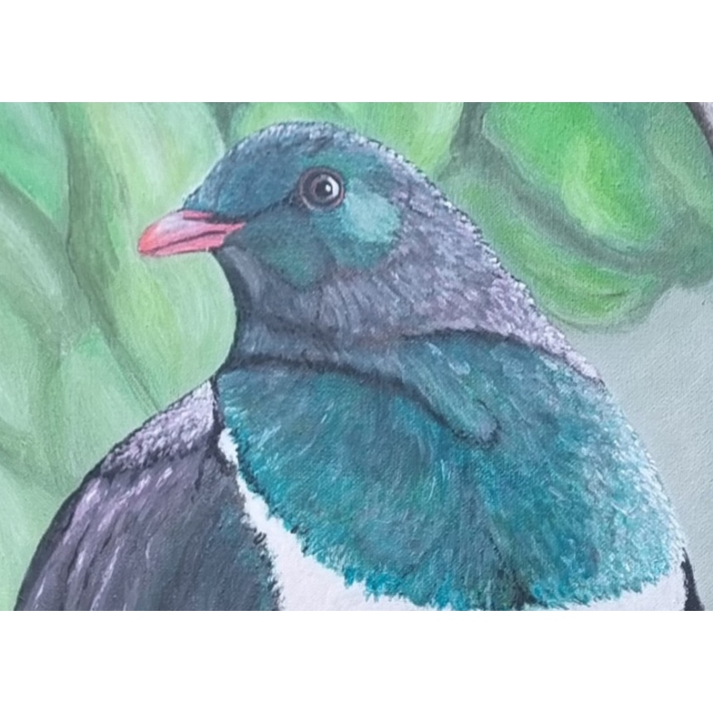 Kererū - Canvas Print
