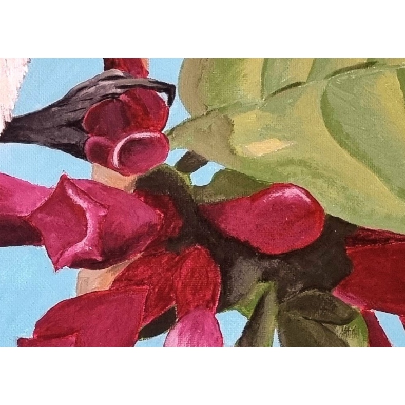 Wax Eye - Canvas Print