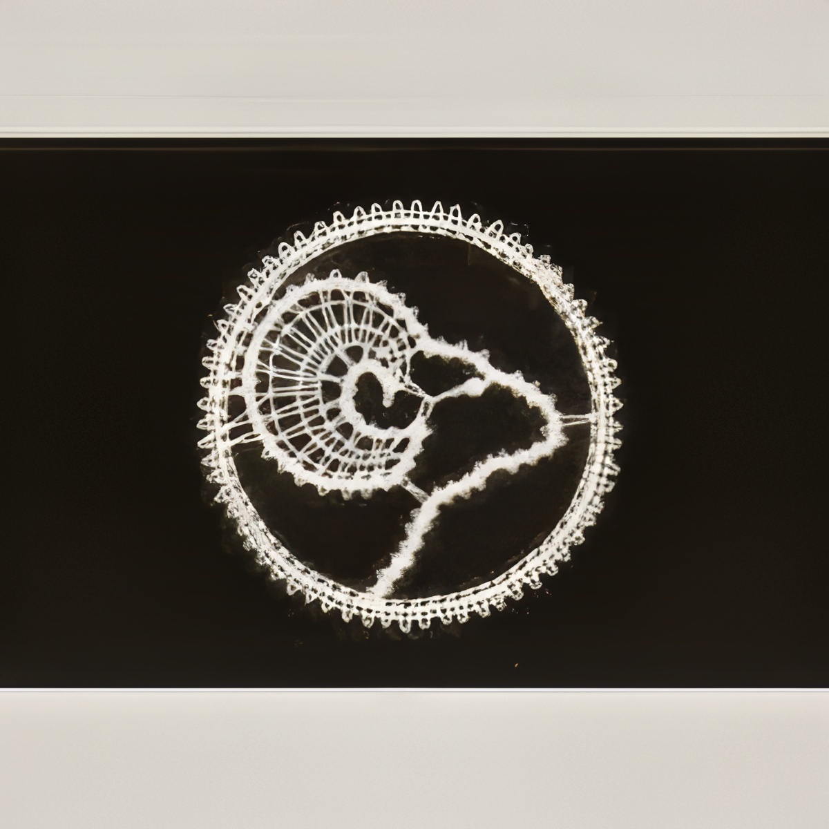 Oven (21.3. – 20.4.)