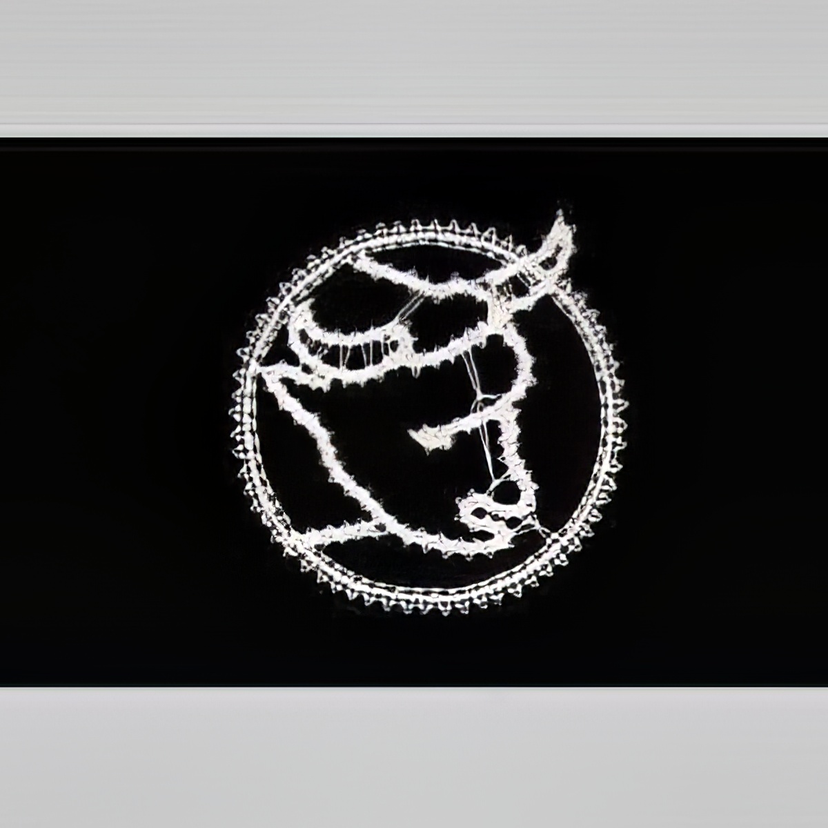 Bik (21.4. – 20.5.)