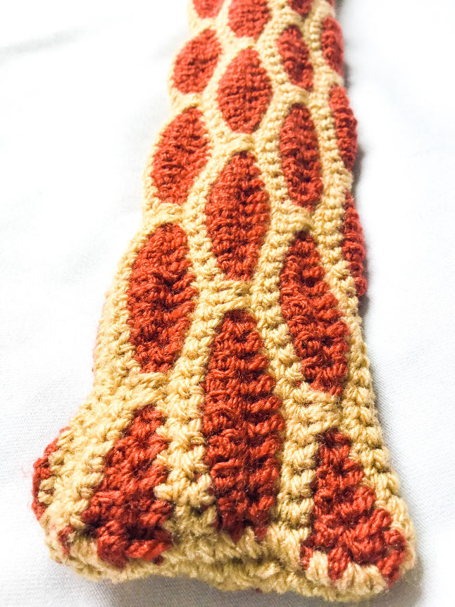 "Chocolate Honey" Recorder bag