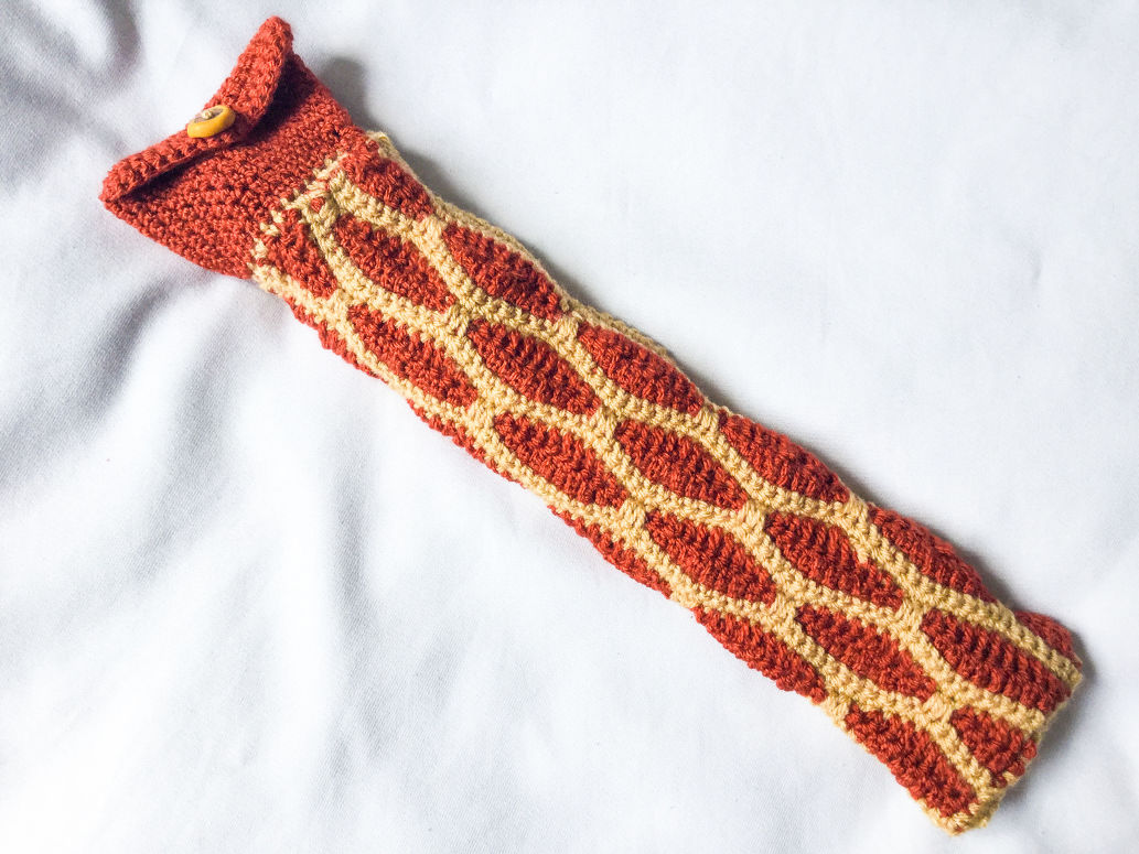 "Chocolate Honey" Recorder bag