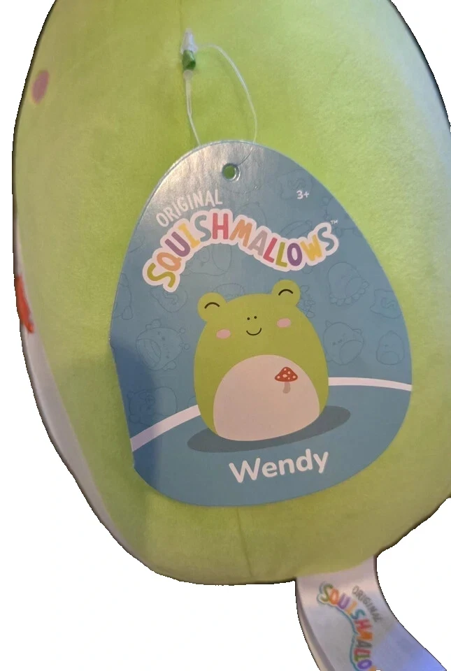Squishmallows WENDY The FROG 8" Plush Mushroom Spring Cottagecore 2024 Jazwares