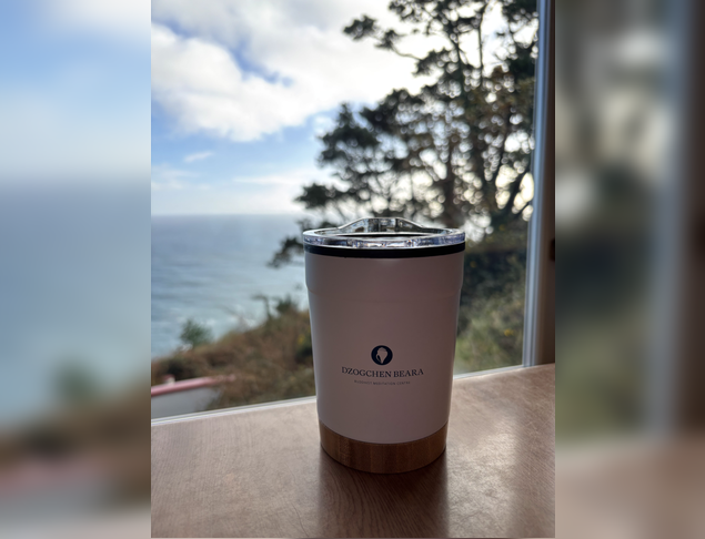 main product image on details page