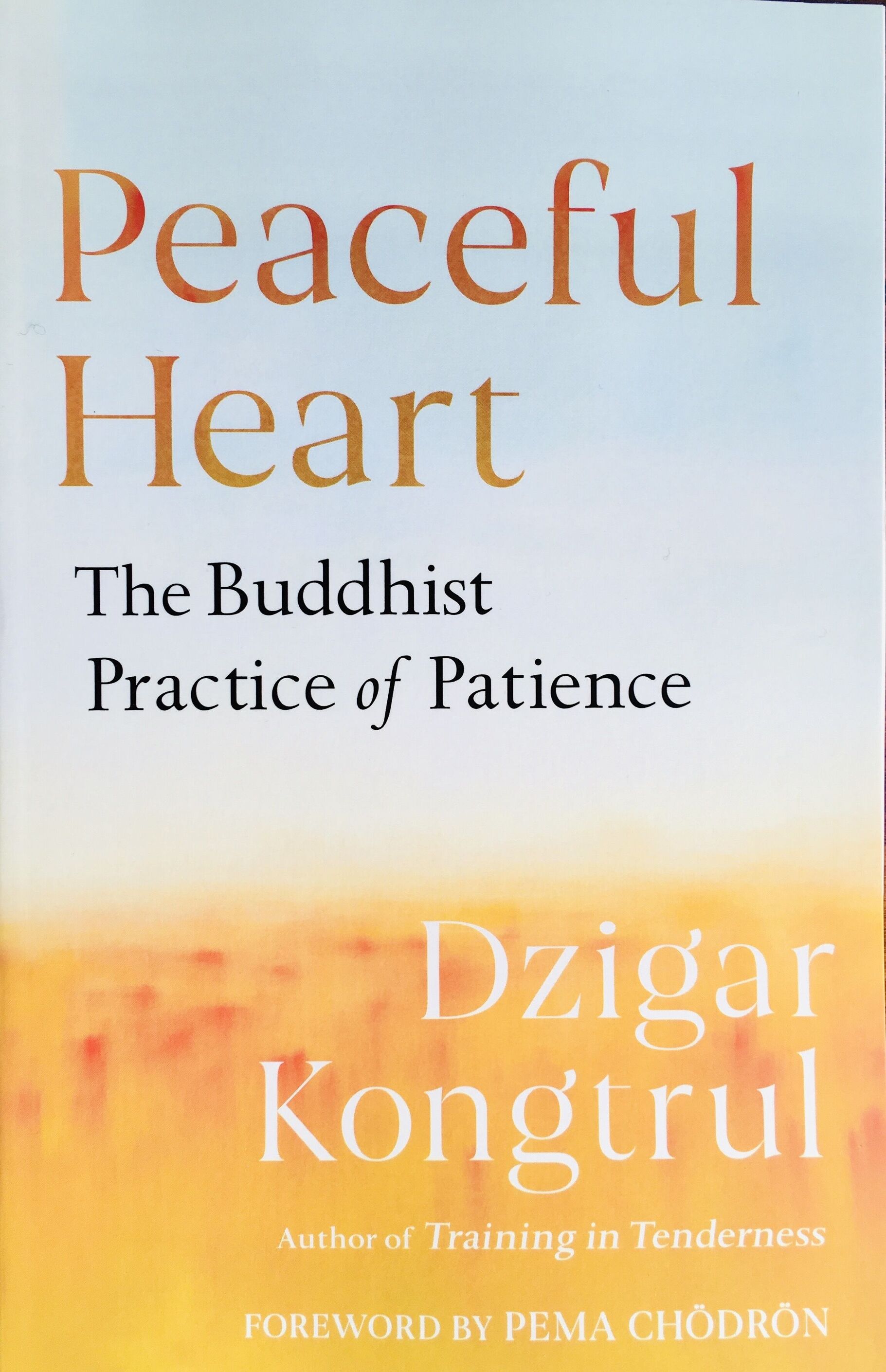 main product image on details page