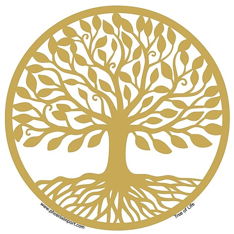 main product image on details page