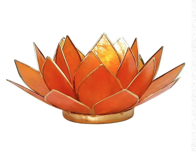 main product image on details page