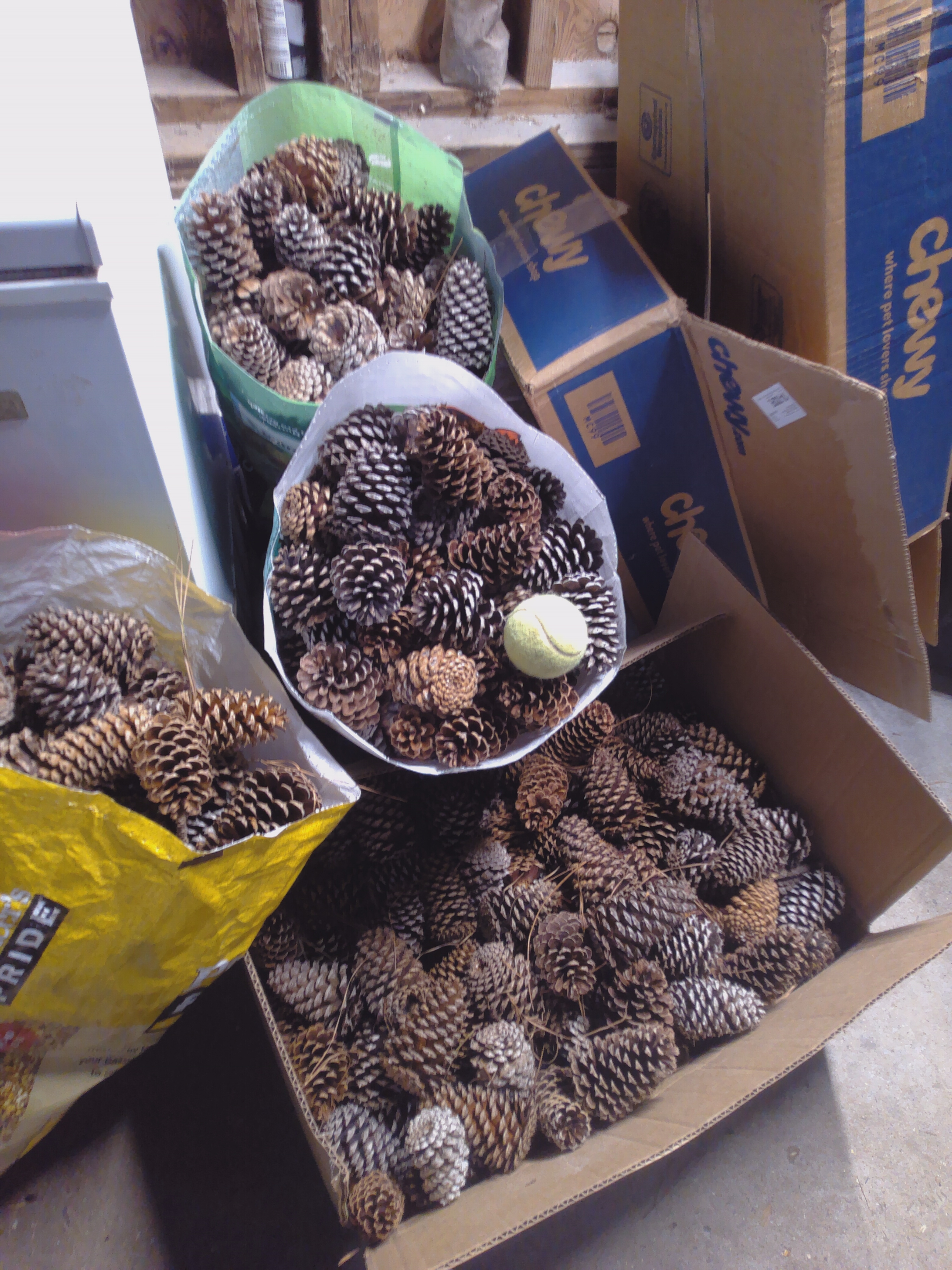 main product image on details page