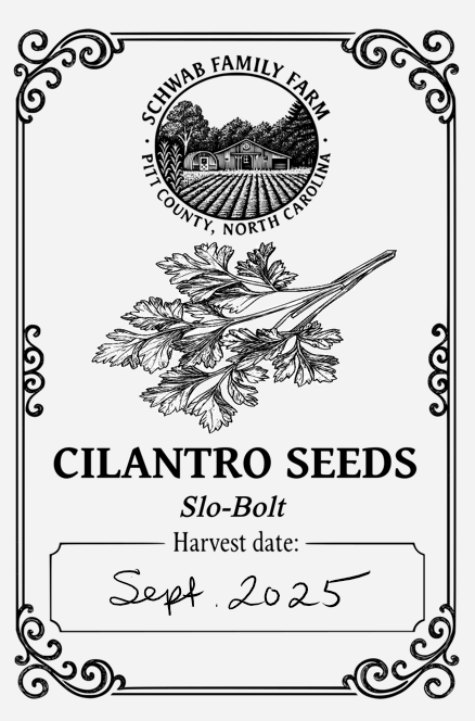 Cilantro "Slo-Bolt" 100+ seeds – Garden Herb Seeds