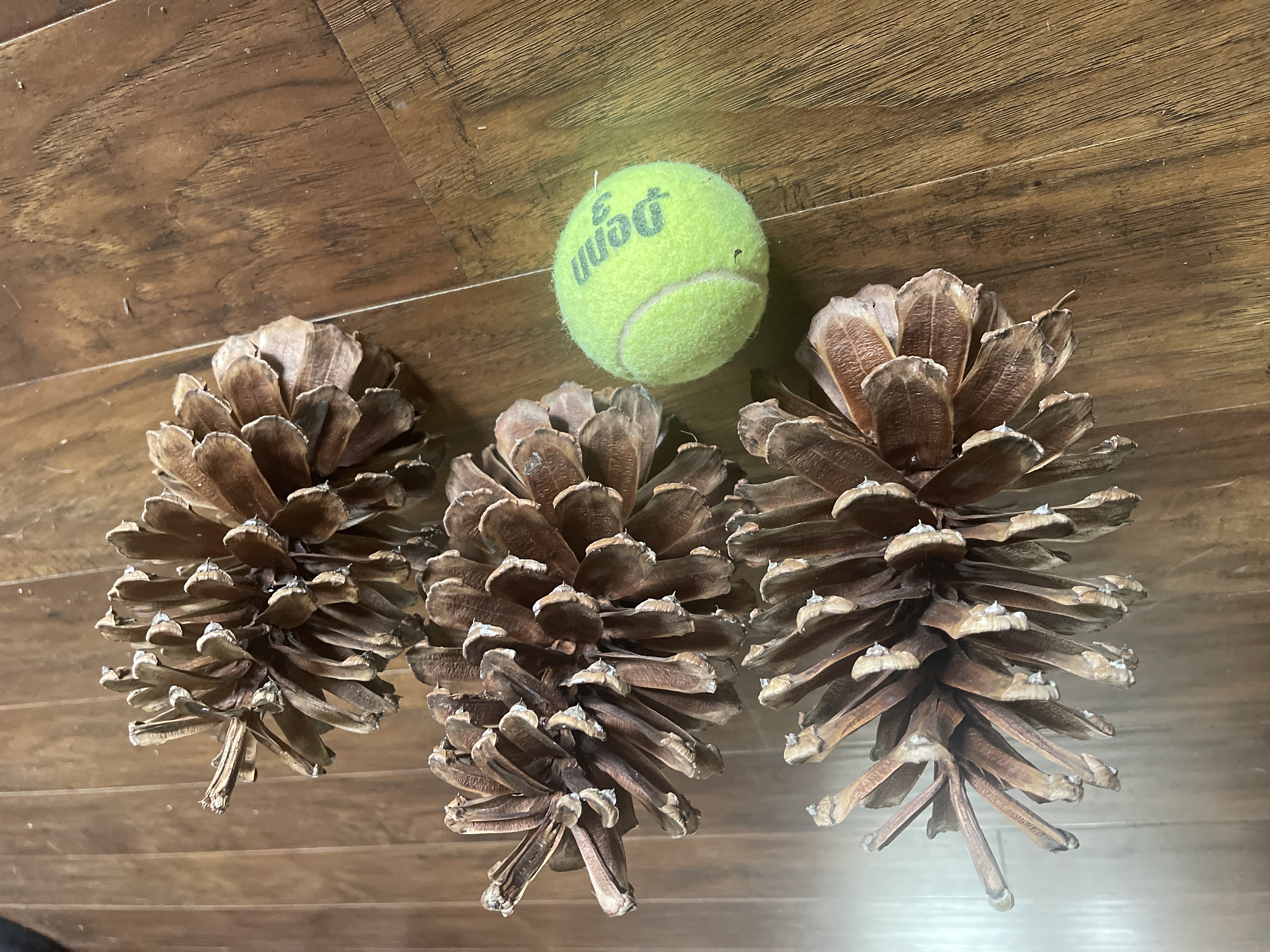 main product image on details page