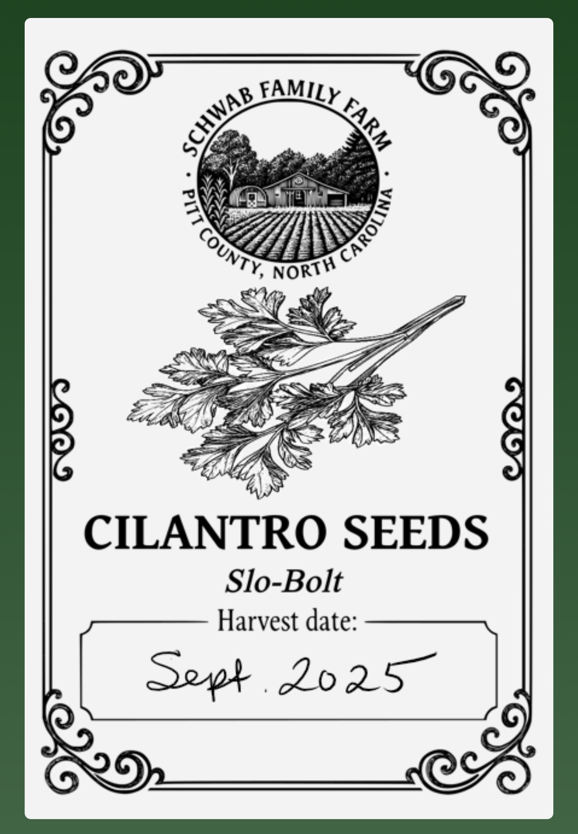 main product image on details page