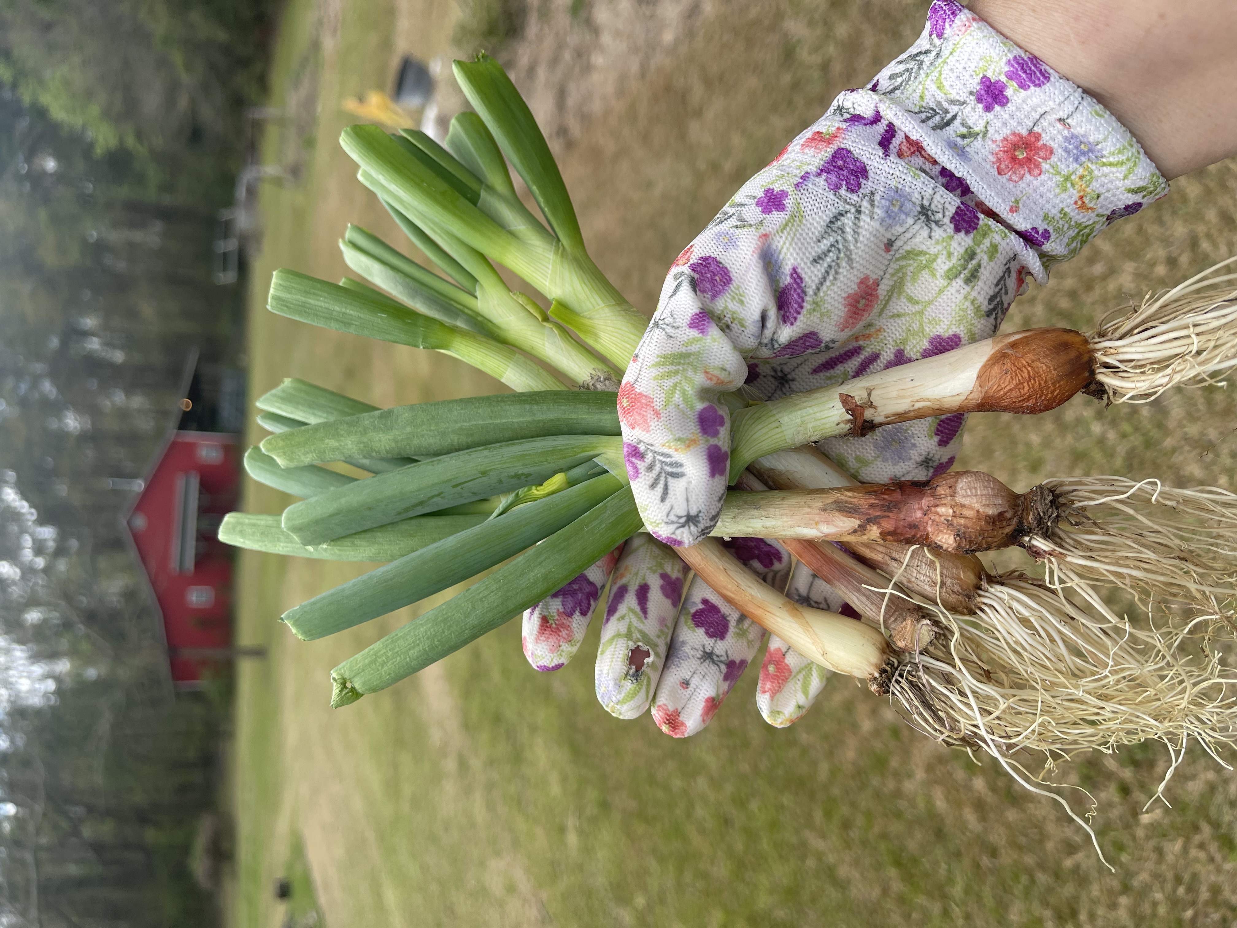 main product image on details page