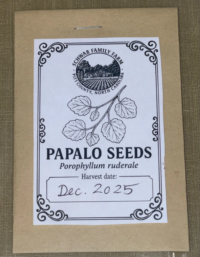 Papalo (Porophyllum ruderale) – Garden Herb Seeds