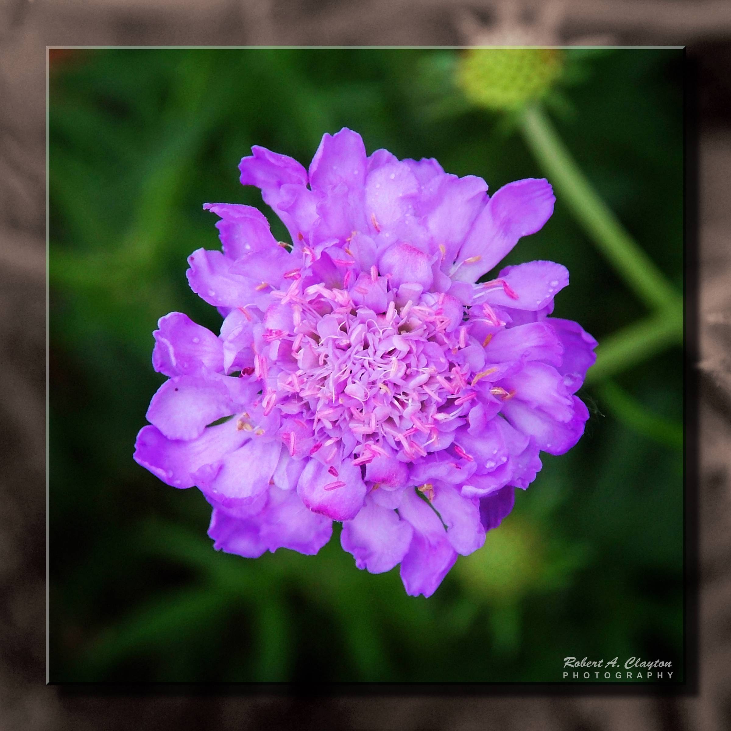 main product image on details page