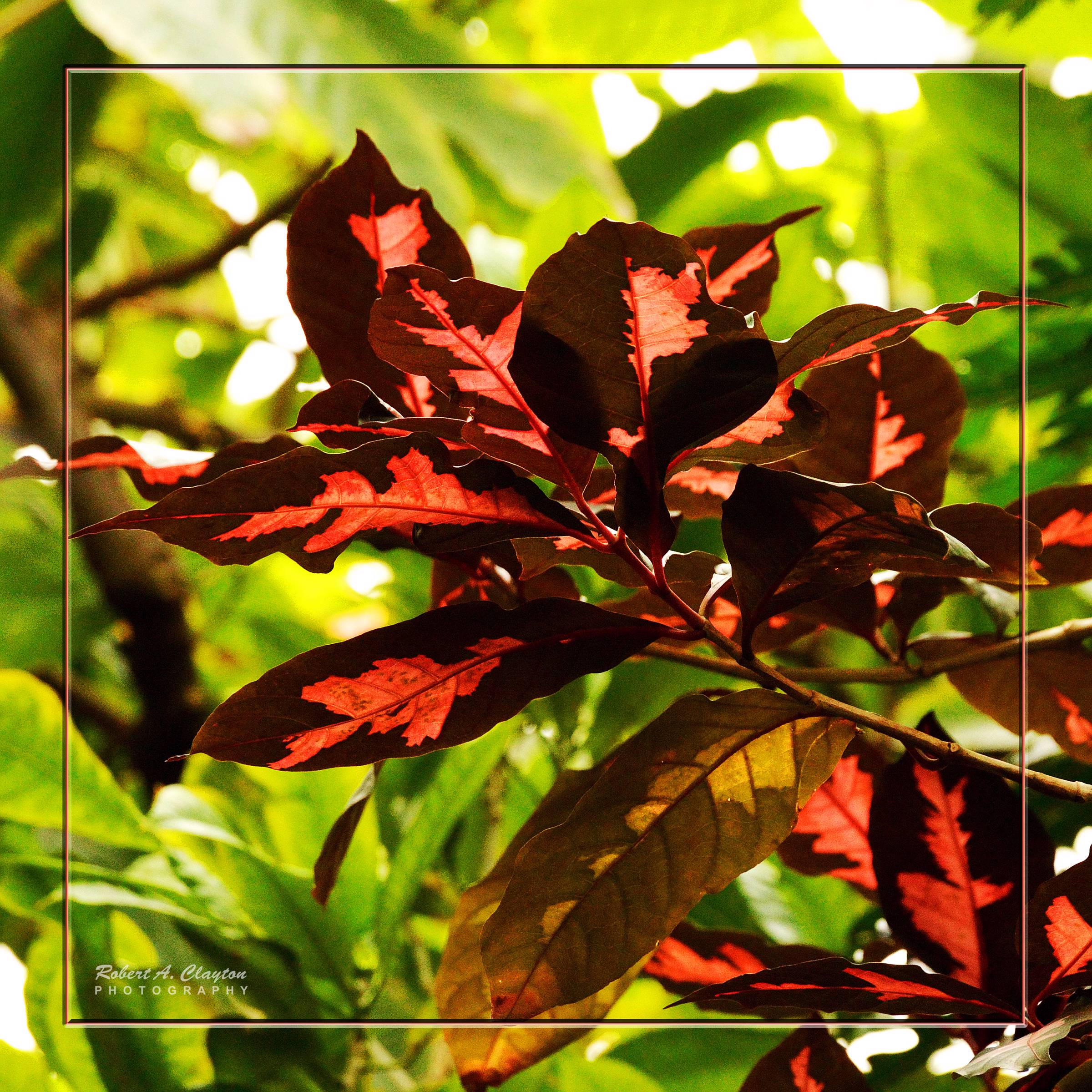 main product image on details page