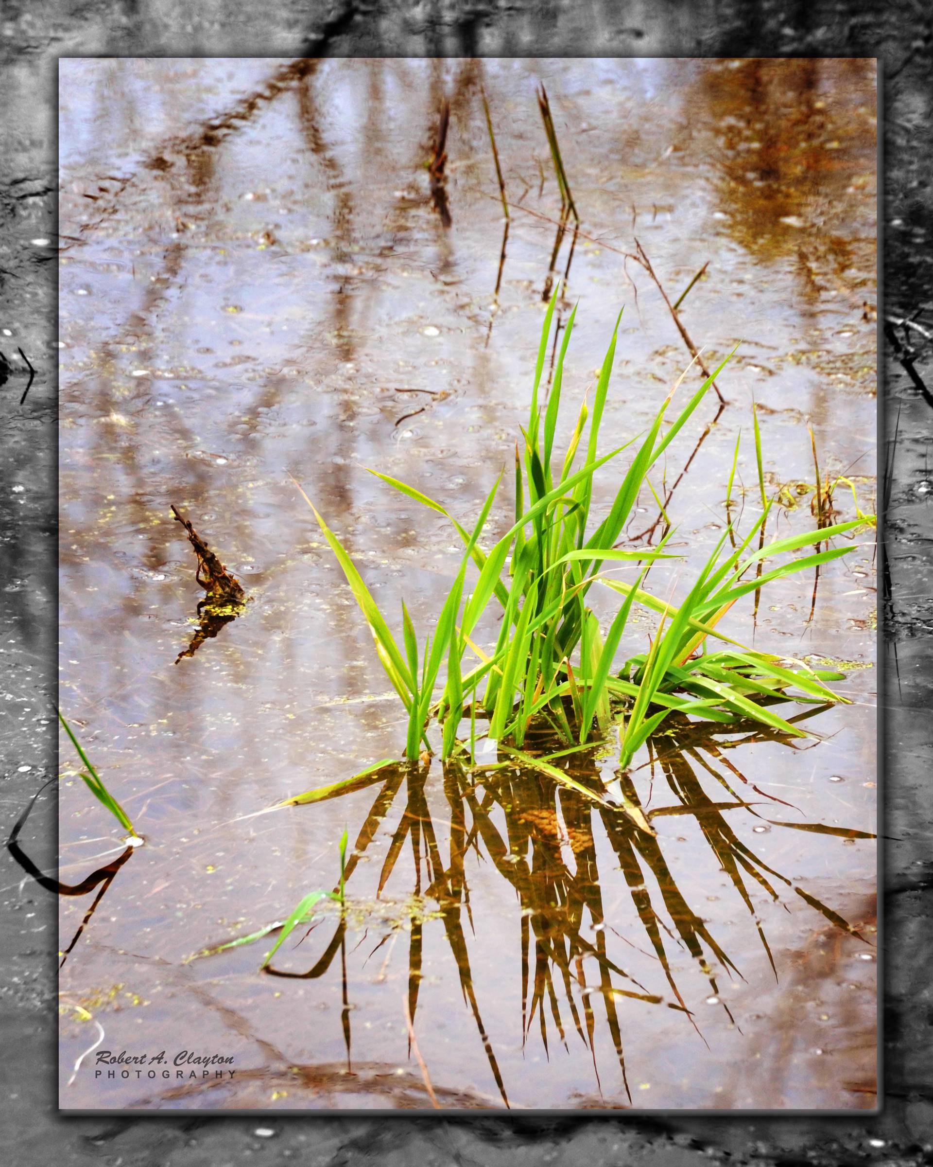 main product image on details page