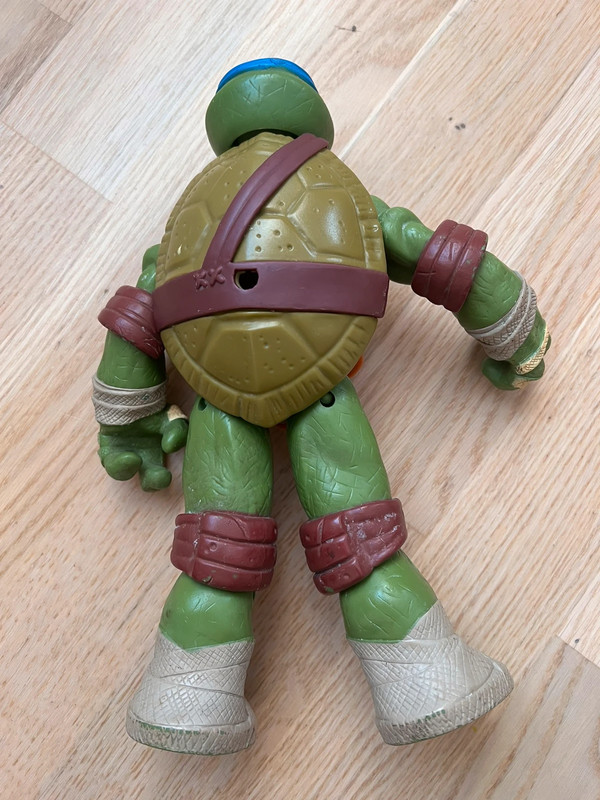2012 Viacom International, NN3170, Turtle