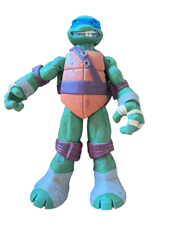 2012 Viacom International, NN3170, Turtle