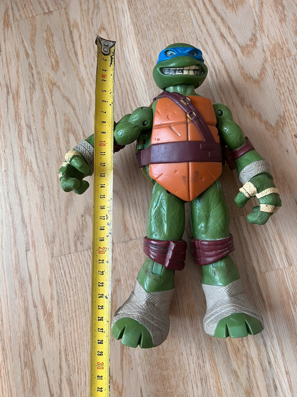 2012 Viacom International, NN3170, Turtle
