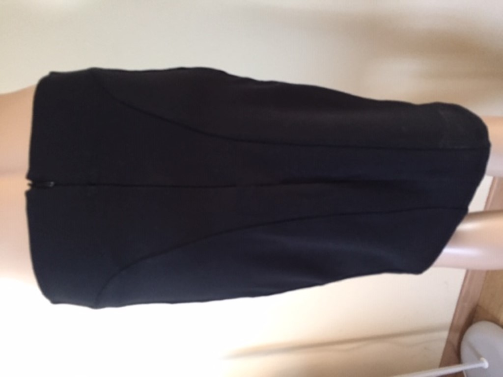 Alexander McQueen Skirt in Black