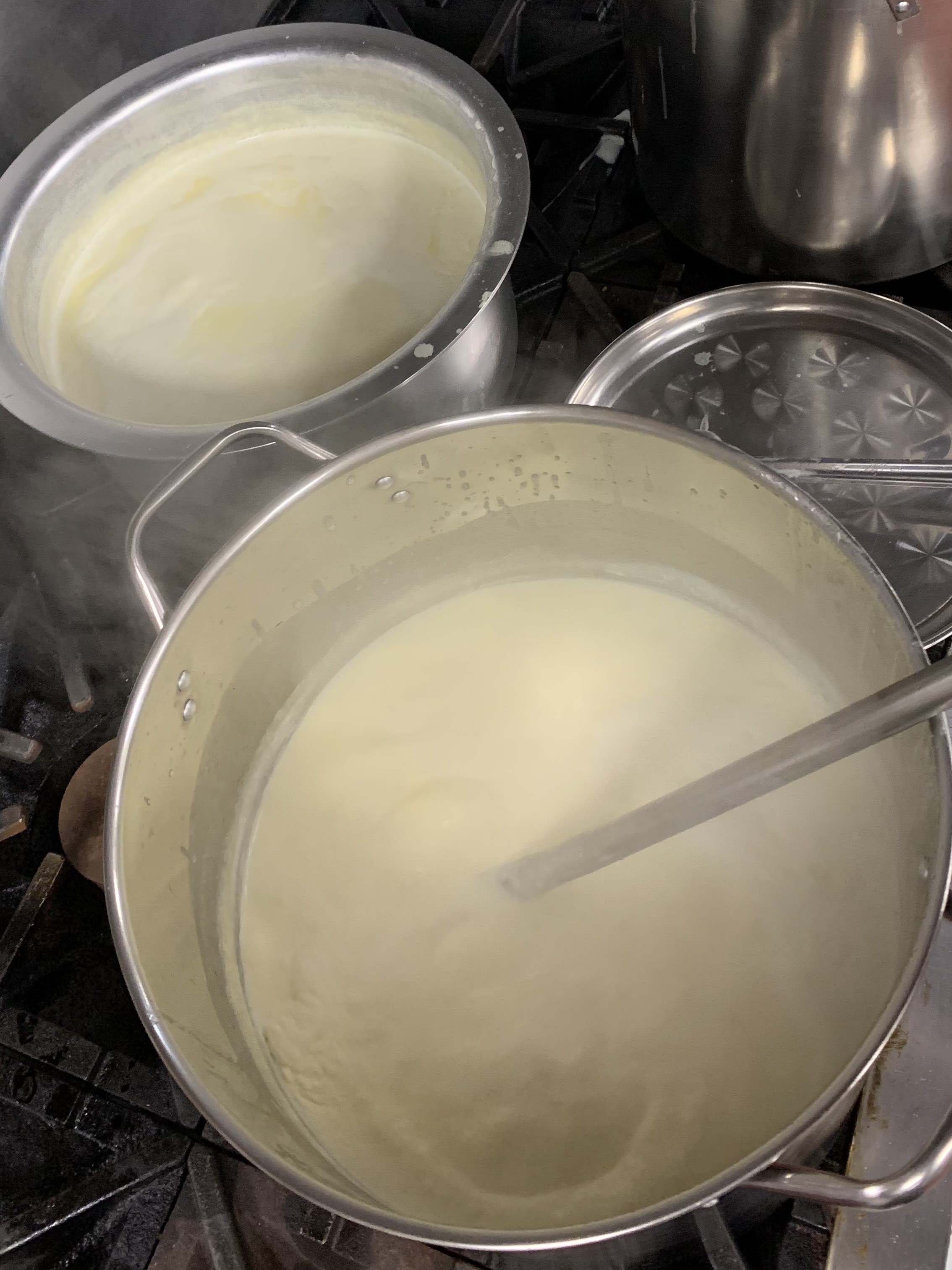 Set of 4 Traditional Ghee (16 oz)