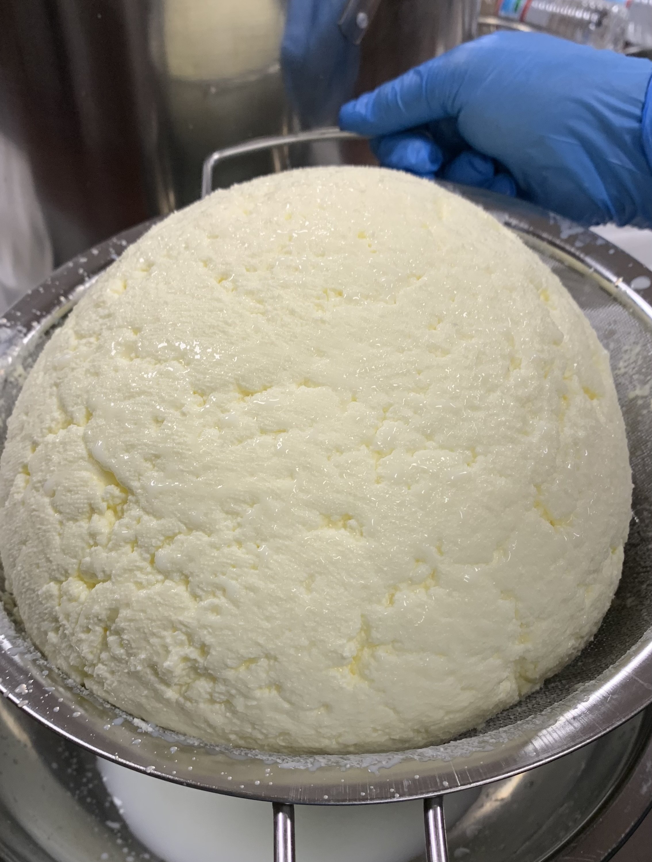 Set of 4 Traditional Ghee (16 oz)