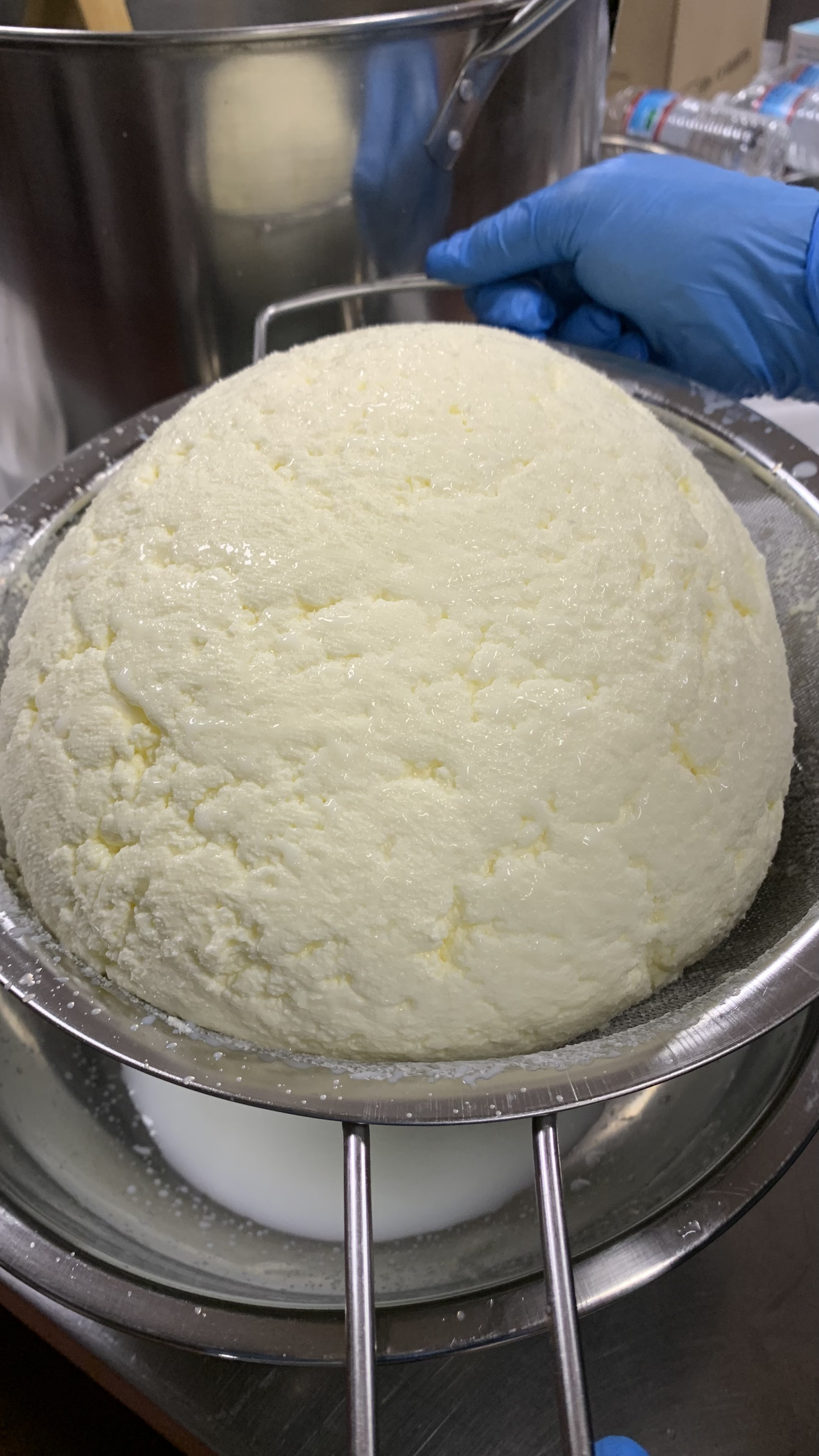 Set of 4 Traditional Ghee (16 oz)