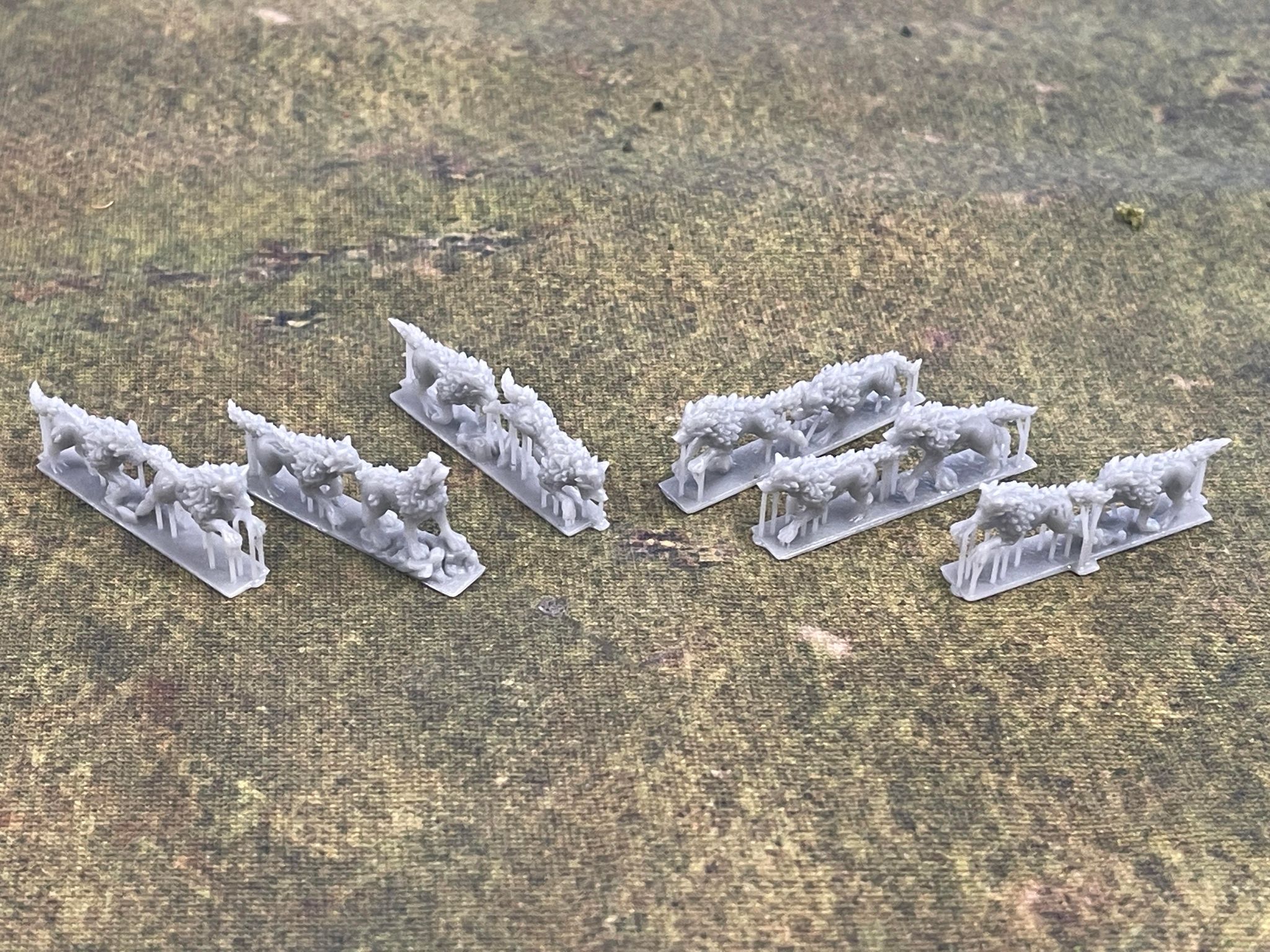 Dire Wolves Regiment - 10mm Vampire Counts - Forest Dragon - Warmaster