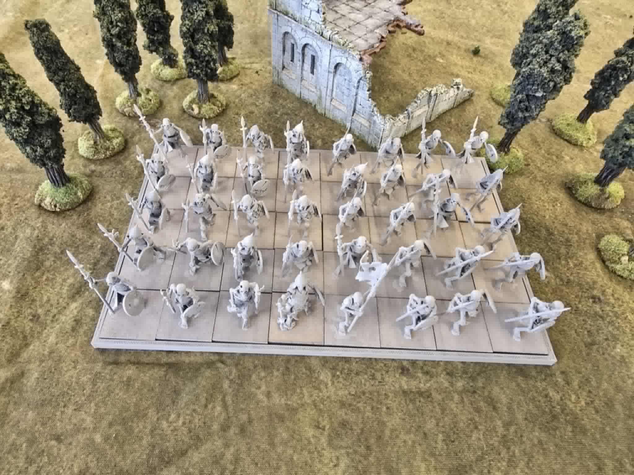 Skeleton Warriors with Swords & Shields x40