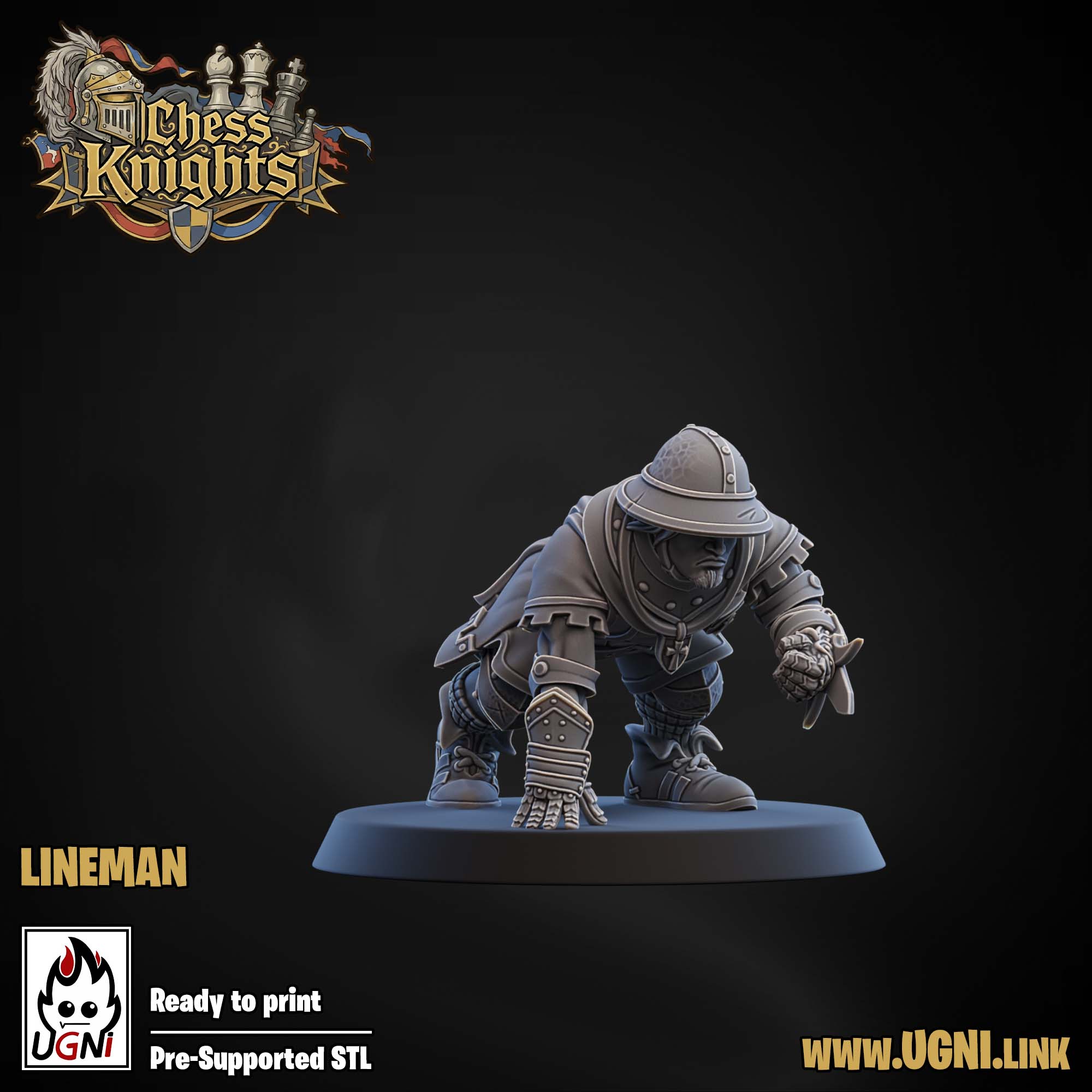 Chess Knights (Chivalric Knights) Part.1 Bloodbowl Team