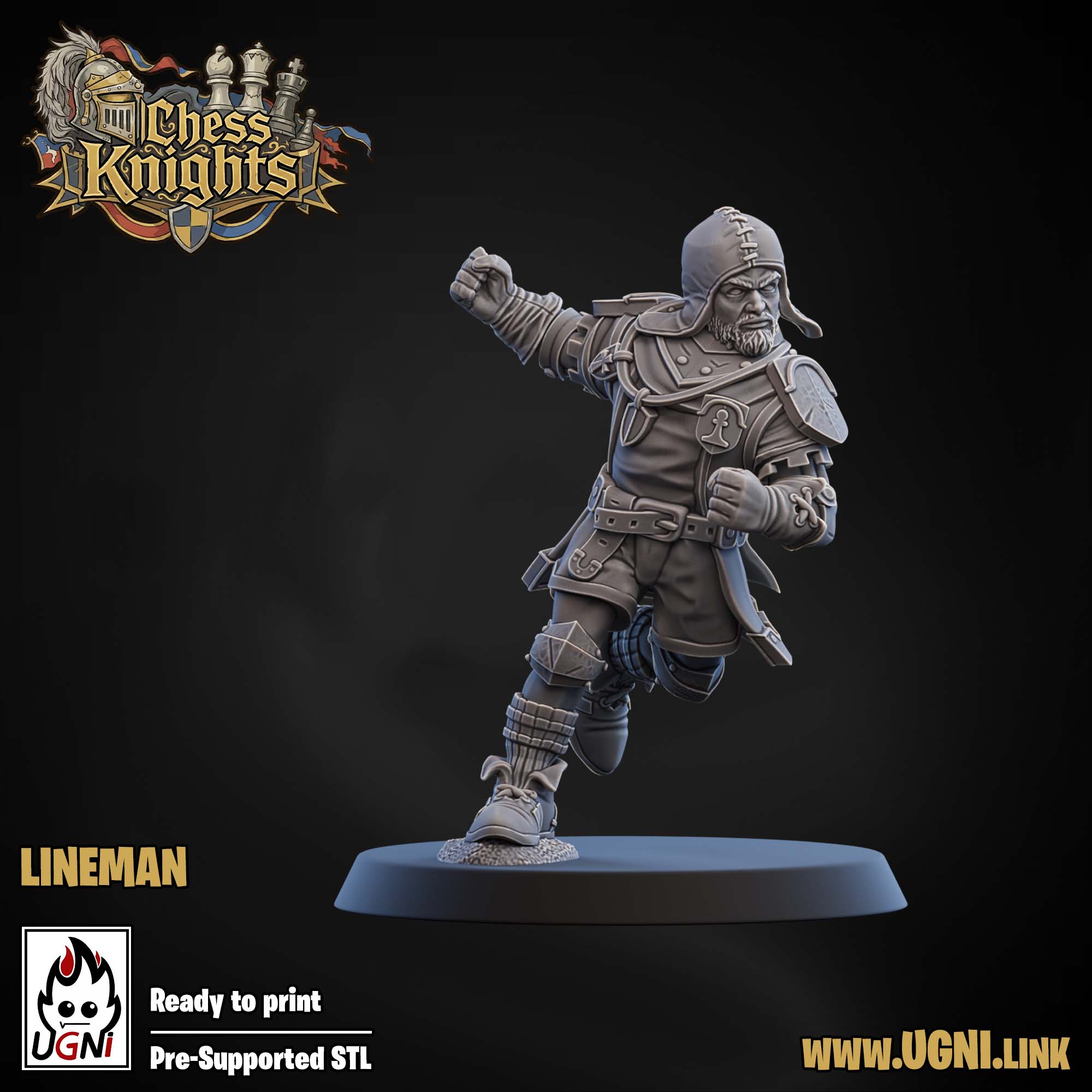 Chess Knights (Chivalric Knights) Part.1 Bloodbowl Team