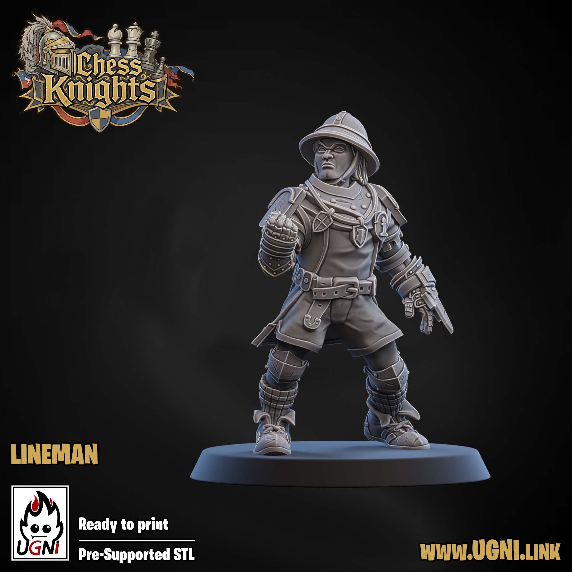 Chess Knights (Chivalric Knights) Part.1 Bloodbowl Team